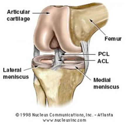 ACL